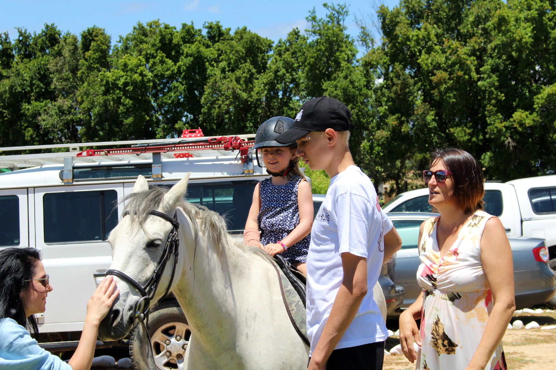horse2 (1)