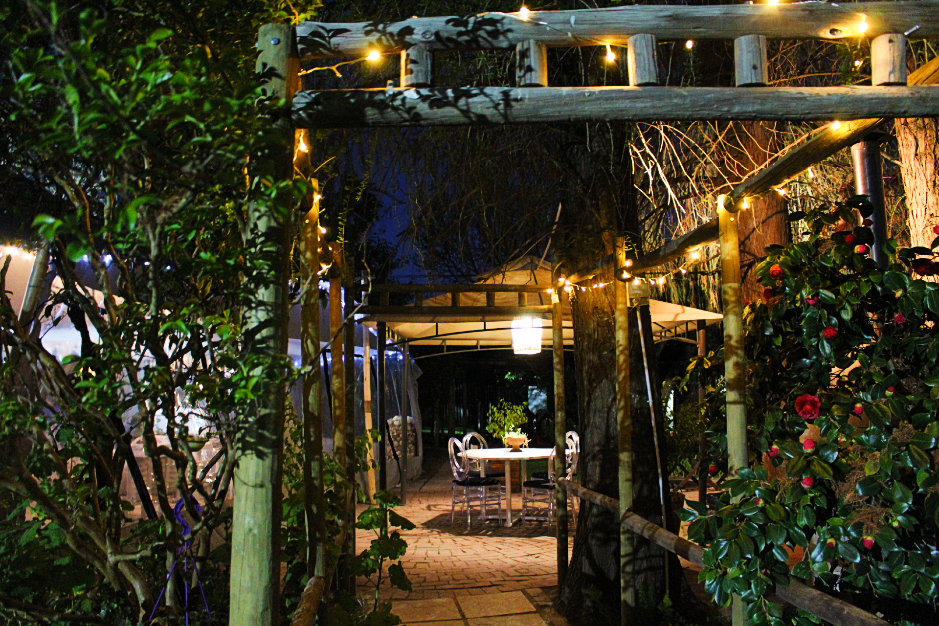 Die Zinkhuis at night1
